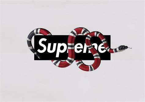 supreme and gucci drawings|GUCCI SNAKE .